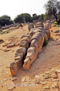 Atlas in Olympeion Field