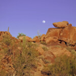 Arizona desert