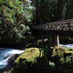 bridge over creek