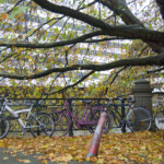 Amsterdam.