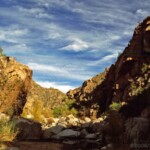 Arizona desert
