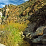 Arizona desert
