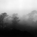 ©2006 Bill Natkin